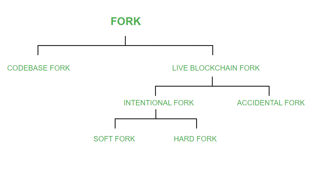 Blockchain Fork