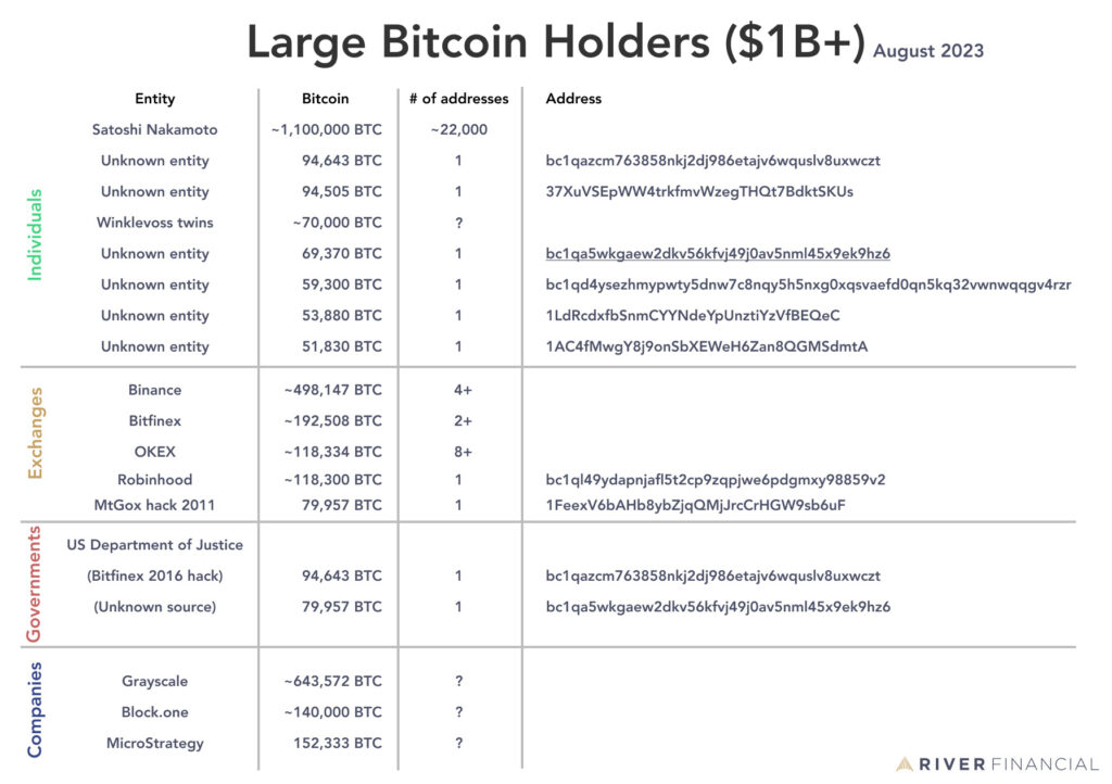 Large Bitcoin Holders